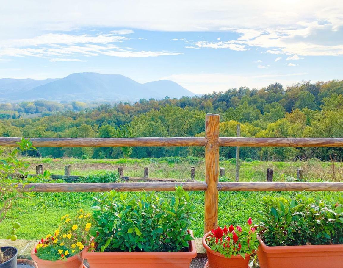 Villino Al Dotto Country House Лукка Екстер'єр фото