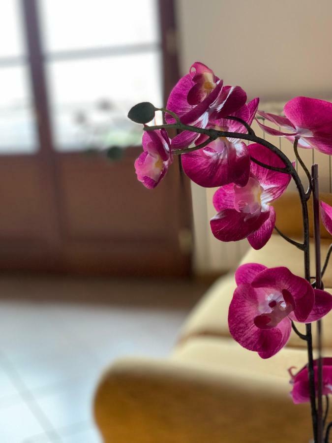 Villino Al Dotto Country House Лукка Екстер'єр фото