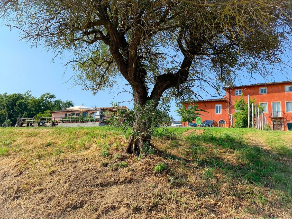 Villino Al Dotto Country House Лукка Екстер'єр фото